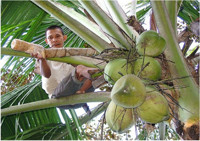 farming-alliance-and-network-img-1