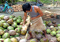 farming-alliance-and-network-img-2