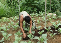 farming-alliance-and-network-img-3