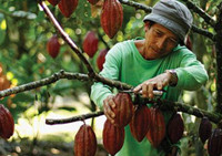 farming-alliance-and-network-img-4